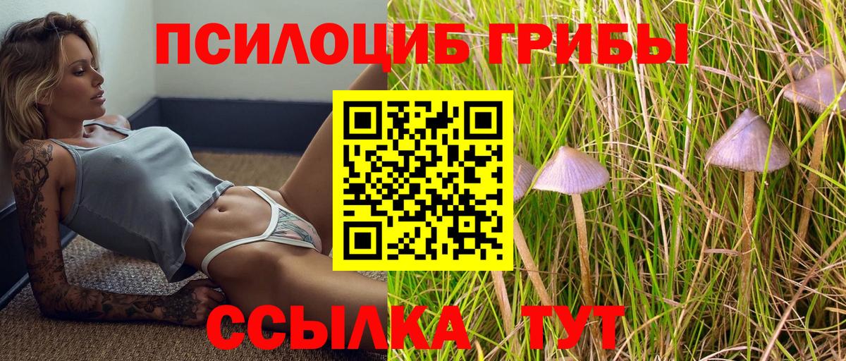 Красноярск  Галлюциногенные грибы MAGIC MUSHROOMS  Вход с VPN  Галлюциногенные грибы прущие грибы 